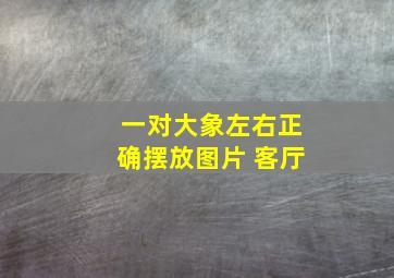 一对大象左右正确摆放图片 客厅